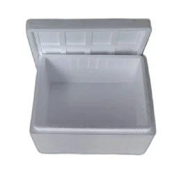 Normal EPS Thermocol Ice Box, For Packaging